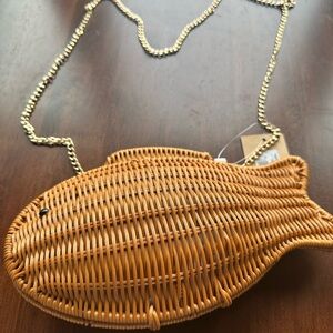 Come here, Fishy Fishy!